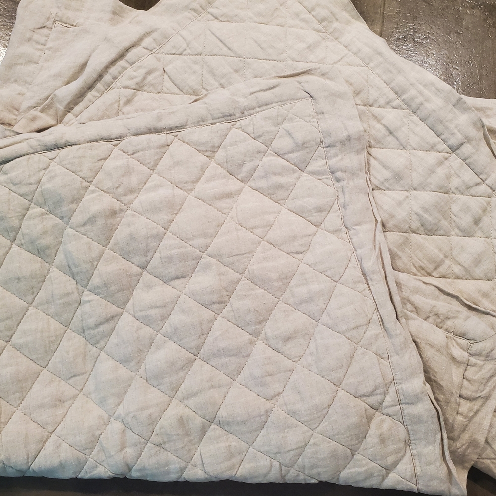 Closet Clean Out...Pair of Pottery Barn Linen Euro Shams